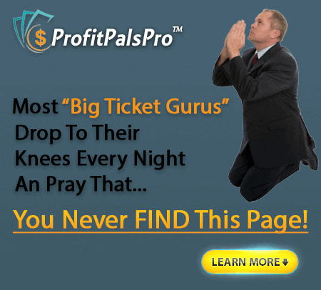 our-services-01 profitpalspro 450x407 c